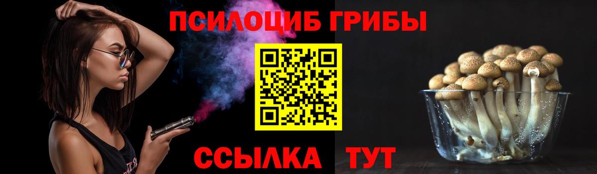 Приморско-Ахтарск  Псилоцибиновые грибы прущие грибы  Вход с VPN 
